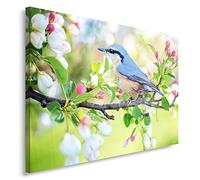 Feeby Impression sur Toile Oiseau 50x40 cm 1 pièces Tableaux Tableau Mural Image Moderne Décoration Murale Artistique Photographie Cuisine Salon Chambre à coucher Nature Bleu Vert