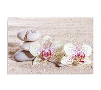 Feeby Impression Sur Toile Orchidée Galets 50x40 cm Tableaux Tableau Mural Image Moderne Photo Décoration Murale Artistique Photographie Design Chambre Salon Cuisine Zen Blanc Beige Rose