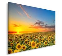 Feeby Impression Sur Toile Prairie Fleurs Tournesol 100x70 cm 1 pièce Tableaux Tableau Mural Image Décoration Murale Artistique Photographie Design Chambre Salon Cuisine Ciel Nature Paysage Jaune