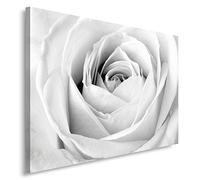 Feeby Impression Sur Toile Rose XXL 120x80 cm Tableaux Tableau Mural Image Moderne Photo Décoration Murale Artistique Photographie Design Chambre Salon Cuisine Blanche