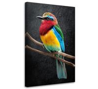Feeby - Impression sur Toile - Tableaux Decoratifs Muraux - Perroquet coloré Animaux - 40x60 1partie - Decoration Salon - Photo sur toile Cadeau - Tableau toile pour le mur