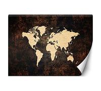 Feeby Papier Peint Intisse Carte Du Monde Continents 250x175 cm marron XXL Photo Mural Muraux Tapisserie Bois Carte Des Contours