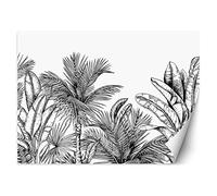 Feeby Papier Peint Intissé Esquisse Exotique Tropiques 100x70 cm noir et blanc XXL Moderne Décoration Murale Tableaux Muraux Tapisserie Salon Chambre à coucher Des palmiers Les feuilles Jungle