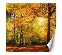 Feeby Papier Peint Intisse Rayons De Soleil Parmi Les Arbres 250x250 cm orange Décoration Murale Tableaux Poster Muraux Chambre Enfant Salon Salle Cuisine Coucherr Forêt D'Automne