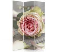 Feeby Paravent Rose 3 pans 110x180 cm Une Seule Côté Cloison de séparation Écran Pliant Foto Paravent Interieur Décoratif Mur Espagnol Impression sur Toile Chambre d'enfant Salon Bureau Rose