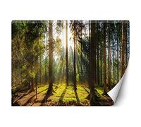 Feeby Photo Murale Intisse Forêt Soleil 350x245 cm vert Déco Murale Tableaux Muraux À La Maison Chambre à Coucher, Salon, Chambre D'amis Nature Plantes Arbres