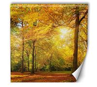 Feeby Poster mural xxl automne 200x200 cm orange Papier intissé Colle fournie