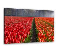 Feeby Tableau sur toile XXL fleurs Art Image Deco tulipes rouge 115x70 cm