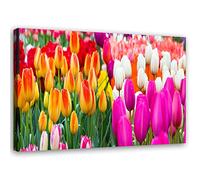 Feeby Tableau sur toile XXL tulipes Art Image Deco fleurs multicolore 115x70 cm