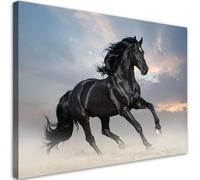 Feeby - Tableaux Decoratifs - Tableau Salon Grand Format - Cheval noir au galop animaux - 30x20 1partie - Tableau Decoration Murale - Toile Imprimée - Impression sur Toile Peinture