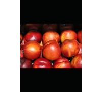 Feed Your Family for $5: 50 Complete Meals on the Tightest Budget