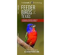 Feeder Birds Of Texas