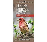Feeder Birds Of The Midwest