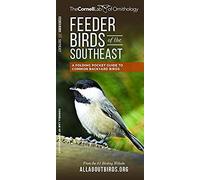 Feeder Birds Of The Southeast