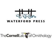 Feeder Birds Of The Southwest