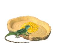 Feeding Dish, Reptile Water Food Bowl, Portable NonToxic Feeder for Chameleon, Bearded Dragon, Lizard 2 Pack, Terrarium Use and Your Reptile Pets, 11 x 8 x 1 cm Brun
