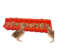 Feeding Equipment Tray with Holes - Poultry Feeder | Poultry Feeding Tray for Farms Home Ducks Pigeons Quails Outdoor Indoor | Bird Feeder Tray with Holes