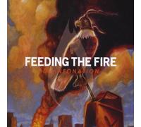 Feeding the Fire - Disinfonation