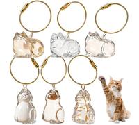 Feegela 6 Pièces Porte-Clés Poils d'Animaux Étanche, Médaillon Transparent à Remplir pour Chien et Chat, Boîte à Souvenir Poils, Cadeau pour Amoureux des Animaux