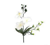 Feegow Bouquet d'orchidée phalaenopsis artificielle : fleurs artificielles réalistes de 25 cm pour la maison, le bureau et la décoration de mariage, arrangement de plantes en plastique nécessitant peu