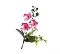 Feegow Bouquet d'orchidée phalaenopsis artificielle : fleurs artificielles réalistes de 25 cm pour la maison, le bureau et la décoration de mariage, arrangement de plantes en plastique nécessitant peu