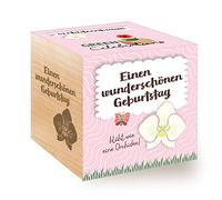 Feel Green Celebrations Ecocube - Cube en Bois avec Gravure au Laser « A Wonderful Birthday » - Idée Cadeau Durable - Fabriqué en Autriche