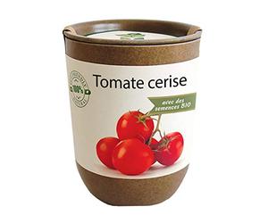 Feel Green Ecocan, Tomate Cerise Certifiées Bio, Idée Cadeau (100% Biodégradable), Grow-Your-Own/Kit Prêt-à-Pousser, Le Pot Écologique Qui Croît 9 x 7 cm, Produit en Autriche