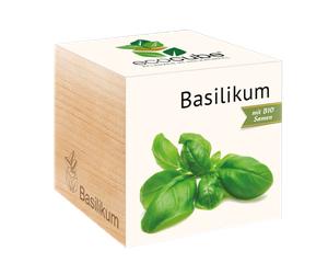 Feel Green ecocube "Herbes Aromatiques" - Basilic