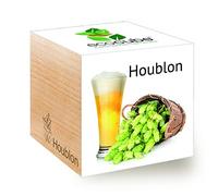 Feel Green Ecocube Houblon, Idée Cadeau (100% Ecologique), Grow-Your-Own/Kit Prêt-à-Pousser, Plantes Dans Des Cubes En Bois 7.5cm, Produit En Autriche