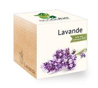 Feel Green Ecocube Lavande Certifiées Bio, Idée Cadeau (100% Ecologique), Grow-Your-Own/Kit Prêt-à-Pousser, Plantes Dans Des Cubes En Bois 7.5cm, Produit En Autriche