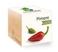 Feel Green Ecocube Piment Certifiées Bio, Idée Cadeau (100% Ecologique), Grow-Your-Own/Kit Prêt-à-Pousser, Plantes Dans Des Cubes En Bois 7.5cm, Produit En Autriche