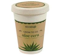 Feel Green Ecocup, Aloe Vera Exotics, Idée Cadeau (100% Ecologique), Grow-Your-Own/Kit Prêt-à-Pousser, Plantes Dans Coffee Cup 10 x 8 cm, Produit En Autriche