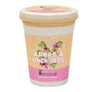 Feel Green Ecocup, Arbre À Orchidées, Idée Cadeau (100% Ecologique), Grow-Your-Own/Kit Prêt-à-Pousser, Plantes Dans Coffee Cup 10 x 8 cm, Produit En Autriche