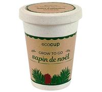 Feel Green Ecocup, Épicéa (Sapin de Noël), Idée Cadeau (100% Ecologique), Grow-Your-Own/Kit Prêt-à-Pousser, Plantes Dans Coffee Cup 10 x 8 cm, Produit En Autriche