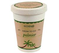 Feel Green Ecocup, Palmier Exotics, Idée Cadeau (100% Ecologique), Grow-Your-Own/Kit Prêt-à-Pousser, Plantes Dans Coffee Cup 10 x 8 cm, Produit En Autriche