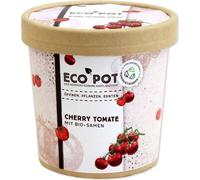 Feel Green ecopot "Tomate Cerise" - 1 pcs