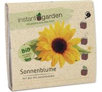 Feel Green instant garden "Tournesol" - 1 kit