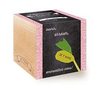 Feel Green Message Cube, Avec Haricot Magique Gravé Au Laser: T'Aime, Idée Cadeau (100% Ecologique), Grow-Your-Own/Kit Prêt-à-Pousser, Plantes Dans Des Cubes En Bois 7.5cm, Produit en Autriche