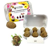 Feel Green Seedegg Lot de 6 Boules de graines de Plantes, fabriquées à la Main, Idée Cadeau Durable (100% Ecofriendly), Naturel pour la publicité, fabriqué en Autriche