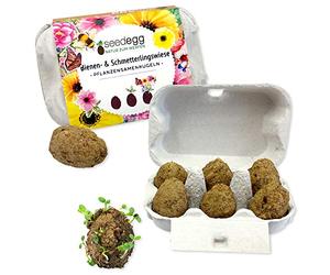 Feel Green Seedegg Lot de 6 Boules de graines de Plantes, fabriquées à la Main, Idée Cadeau Durable (100% Ecofriendly), Naturel pour la publicité, fabriqué en Autriche