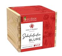 Feel Green - WE CREATE NATURE ecobox Fleur en Chocolat, Plantes dans la boîte en Bois 11 x 11 x 10 cm, fabriqué en Autriche, idée Cadeau Durable, Grow Your Own Kit de Culture