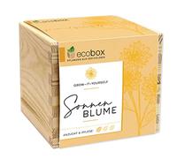 Feel Green - WE CREATE NATURE ecobox-Tournesol-Plantes dans la boîte en bois-11 x 11 x 10 cm-Fabriqué en Autriche-Idée Cadeau Durable-Grow Your Own