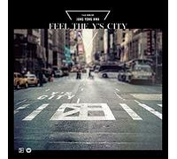 Jung Yong Hwa (From Cnblue) - Feel The Y's City [Import]