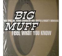 Feel What You Know Remix [12 inch]