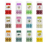 Feelhap Fondants de Cire Parfumée d'Noël pour Lampes Parfumées, Parfums d'Ambiance Cubes de Cire Parfumée, Cire de Soja Wax Melt,Cire d'Hiver Fondante pour Lampe à Parfum, Cadeau pour Noël,12 Parfums