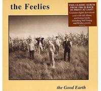 Feelies – Good Earth – Domino Records