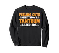 Feeling Cute, Might Throw A Tantrum Later, Idk _ _- Sweatshirt