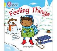 FEELING THINGS by Sally Symes Sally Symes, (Auteur)