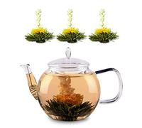 Carafe en verre - Klarstein Feelino - 1300 ml - passoire à thé et fleurs de thé G
