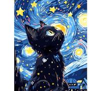 feelive Ciel Etoilé Peinture par Numéro pour Adulte, Chat Kit de Peinture à l'huile sur Toile Bricolage pour Enfant Débutants Avec Pinceau Pigment Acrylique 30x40cm